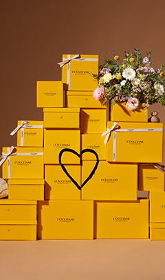 L'Occitane en Provence | Natural Beauty from France | Official USA